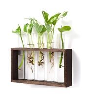 Special Hot Sale Wall Hanging Flower Pot Modern Flower Bud Vase Wooden Stand Desktop