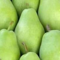 Pears from Turkey Fast Shipping Premium Pears