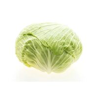 Fresh Cabbage Wholesale Viet Nam Fresh Vegetables Fast Delivery and Carefully Packed