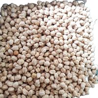 Bulk Natural Dried Raw Chickpeas With Manufacturer Wholesale Price Certificate