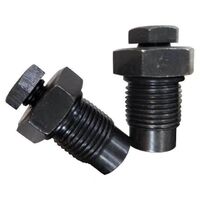 Excavator Hydraulic Rock Crusher Spare Parts N2 Gas Nitrogen Filling Valve Exhaust Valve