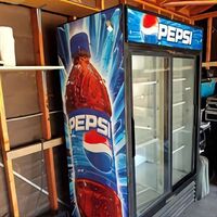 Global Distribution Upright Cooler Refrigerator Freezer Refrigerator Display Glass Door Pepsi Freezer Slim Freezer With Wheels
