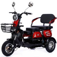 800W Adjustable Electric Three-Wheel Electric Three-Wheel Household Small Scooter