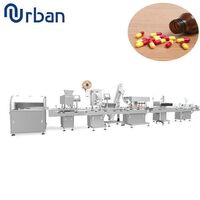 Bottle filling production line capsule counting labeling machine line