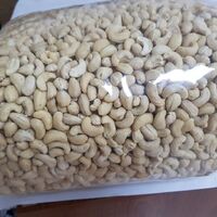 Cashew nut w320 w240 Raw material Vietnam high quality best price