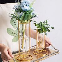 Best selling Nordic light luxury hydroponic transparent glass wrought iron golden metal vase