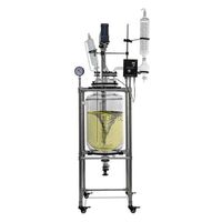 High sales laboratory chemical reactor 100L laminated glass reactor