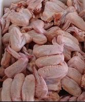 Hot Selling Bulk High Quality Frozen Chicken Wings Wholesale, Favorable Price, Halal Certified