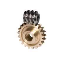 Customized high quality worm gear set worm gear