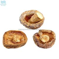 Wholesale Premium Quality Dried Black Forest Mushrooms Dried Shiitake Mushrooms From Vietnam