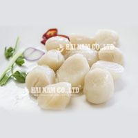 Premium Quality 2 Years Shelf Life Special Flavor Frozen Scallop Meat Made in Vietnam