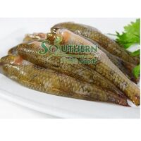 Wild Caught SFF Process Type IQF Acceptable Price Ingredient River Style Other Fish Frozen Sand Goby Headless from Vietnam