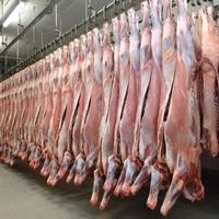 2022 Hot Sale Halal Fresh Frozen Goat/Lamb/Lamb Carcasses