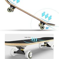 31 Pro Complete Skateboard 9-Ply Maple Skateboard for Extreme Sports and Outdoors