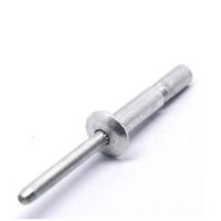 High Quality China Rivet Manufacture Popular Blind Rivet Solid Aluminum Single Bolt Interlocking Structure Blind Rivet