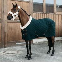 High-quality equestrian 1680D waterproof and breathable combination turnout horse blanket horse racing supplies horse blanket white winter GUA