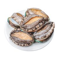 Seafood Dried Abalone Fresh Abalone Shell