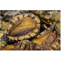 Retort Bag Food Easy To Eat Wholesale Price Fresh Seafood Instant Abalone