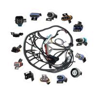 Custom Complete Wire Harness 1997-2006 LS1 LS2 LS3 Engine Wire Harness 4L60E 4L80E Transmission EV1 Injector Wire Harness