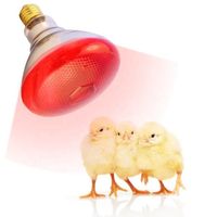 Factory hot sale infrared heating lamp par38 chick and livestock lamp