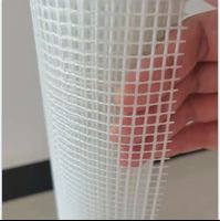 China Supplier- 4x4mm 160g Alkali Resistant Fiberglass Mesh Mosaic