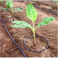 High Quality Complete Set Low Cost Farm Drip Irrigation System