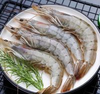 Wholesale Cheap and High Quality Prawns Fresh Frozen Black Tiger Vannamei Prawns