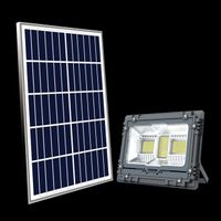 Hot Sales Solar LED Light AW Garden High Power Motion Sensor Light