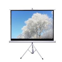 Factory OEM ODM low price 60-150 inch portable tripod projector screen for indoor projection