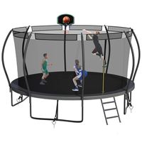 Chinese Manufacturer 5FT 6FT 8FT 10FT 12FT 13FT 14FT 15FT 16FT Professional Adult Kids Trampoline with Safety Net