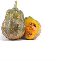 Viet Nam Fresh Butternut Pumpkin / WHATSAPP +0084 845639639