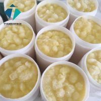 Premium 100% Natural Fresh Royal Jelly Food Grade