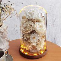 Luxury Preserved Flower Preserved Glass Dome Rose Gift Box Transparent Glass Rose Flower Gift Packaging Box With LED Light Wholesale