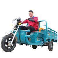 2020 New Design Cargo Strong Power Three Wheel Electric Tricycle