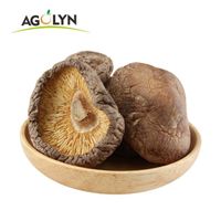 Factory price dried shiitake mushroom chips for sale