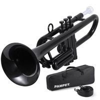 Lightweight and portable plastic instrument C key trumpet for beginners with carrying case and mouthpiece