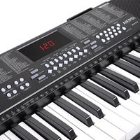 Wholesale Low Price Electronic Organ 255 Voice/Rhythm 1.9cm Key Size Piano Player Educational Musical Instrument Gift