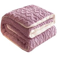 Custom Wholesale Warm Comfortable Thick Padded High Quality Winter Velvet Sherpa Quilt Weight Blanket