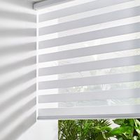 High Quality European Style Screwless Hook Type Awning Window Cordless Zebra Roller Blinds