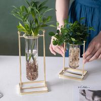 Tabletop Glass Tube Vase with Wooden Metal Stand for Hydroponic Plants Home Office Decoration