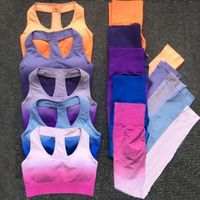 Custom Gradient Seamless Women's Yoga Set Workout Activewear Fitness Sports Bra Set