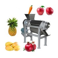 Commercial Juice Machine Industrial Cold Press Juicer Juicer