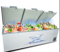 Hot Sale Bag Freezer Horizontal Freezer Big Freezer Price