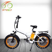 Agile 48v 1000w Adult Electric Folding Bicycle Hub Motor