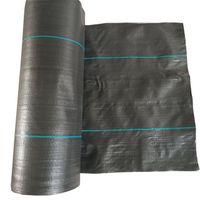 China Supplier of 100% High Strength Polypropylene Mud Woven Fence Fabric Geotextile