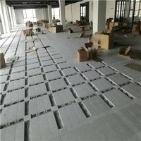 Asb Plastic Raised Floor Fireproof Antistatic Network Antistatic Raised Floor