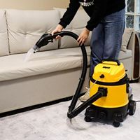 2022 Hot Sale Commercial Low Price Vacuum Steam Cleaner For Carpet Cleaning