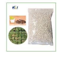 Best Selling High Quality Perlite Wholesale Perlite Price Inorganic Hollow Perlite