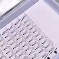 Prefabricated curling fan 3d4d5d6d10d extended top short base loose eyelashes xl tray .05 .07 prefabricated eyelash fan