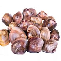 New Delicious Clam Processing New Wholesale Seafood Chinese Seafood Small Clams